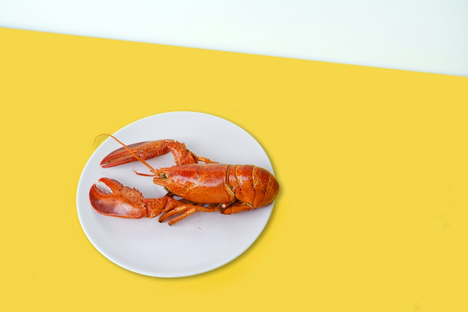 Meet the Lobster Characters