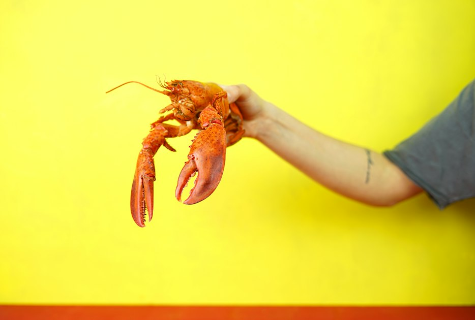 Introducing Never Trust A Lobster